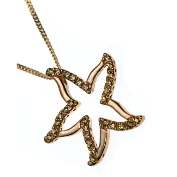 RMB|Chetè & Laroche pendant with starfish necklace yellow gold plated 925 silver with zircons