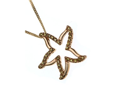 RMB|Chetè & Laroche pendant with starfish necklace yellow gold plated 925 silver with zircons